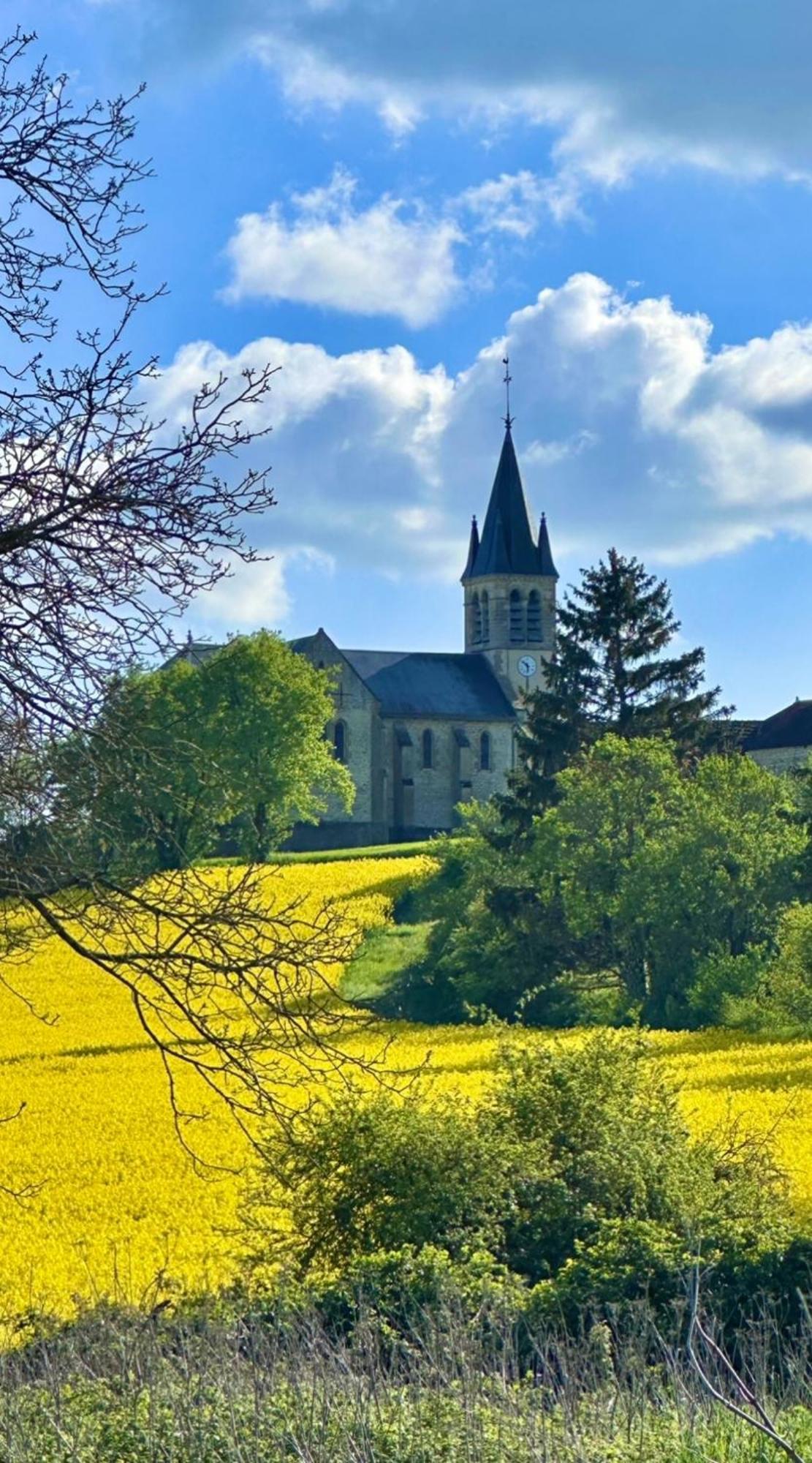 Gigny  La Cour Des Delices Bed & Breakfast エクステリア 写真